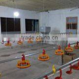 Complete Controlled Automatic Poultry Chicken Farm Equipment for Broiler thumbnail-2