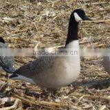 Wholesale Plastic Canada Goose, Hunting Wild Goose Decoys. thumbnail-1