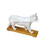 Cat Biological Teaching Animal Anatomical Acupuncture Model thumbnail-2