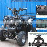 800W Brushless Motor / Shaft Elelctric Quad ATV 800W (TKE-A800-G) thumbnail-1