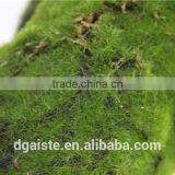 Man Made Thick Moss Carpet Moss Foam Products Flocking Wall thumbnail-1