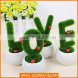 Lovely Custom Love Shape Potted Plants
