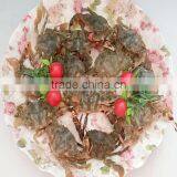 Mud Crabs thumbnail-3