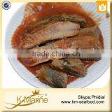 New Processing Easy Open End Chinese Wholesale Canned Mackerel in Tomato Sauce thumbnail-3