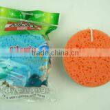 Bath Sponge