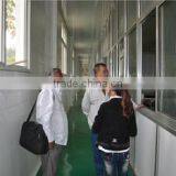 Shandong Wheatsun Food Co., Ltd. company overview - view 2 thumbnail