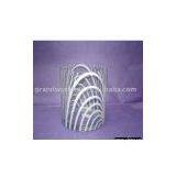 Glass Vase thumbnail-1