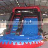 2015 lastest style beautiful inflatable water slide with pool WS060