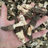 Factory Price Premium Quality Chinese Dried Morel Mushroom with Stem