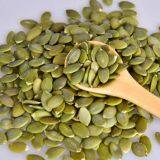 Shine Shell Pumpkin Kernel thumbnail-3