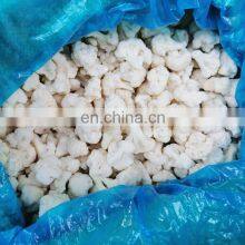 Sinocharm BRC A Approved 4-6CM IQF Cauliflower Floret Cut Frozen Cauliflower thumbnail-5