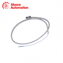 BENTLY NEVADA 330104-00-02-10-02-00 thumbnail-3