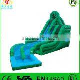 Get Wet With Kids Double Lanes Inflatable Pool Water Slides thumbnail-1