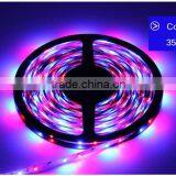 RGB LED Strip 5M 300Led 3528 SMD Fleible Light Led Tape Ribbon + 12V 2A Power Supply Adapter Home Decoration LED Lamps thumbnail-6