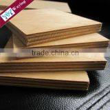 Hardwood Core Both Side Melamine Faced Plywood for Australia Market thumbnail-5