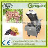 Primer paso en la elaboración del vino: máquina para aplastar uvas. Elección de calidad