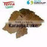 Karanja Seed Kernel thumbnail-2