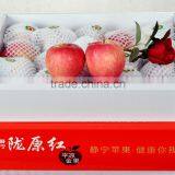 ARTS OF APPLES(1) thumbnail-6