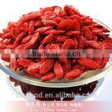 Organic Goji Berry thumbnail-2