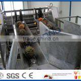 Pineapple Juice Project