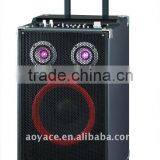 Professional Outdoor Stage Speaker