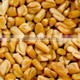 Indian Fenugreek Seeds thumbnail-1