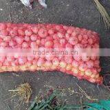 Liliaceous Vegetabless Product Type and Onion Type Fresh ONION for Sale thumbnail-6