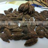 Black Cardamom Wholesale thumbnail-1