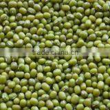 GREEN MUNG BEAN(+84948425455 VIBER, WHATSAPP/SKYPE: VISIMEX05) thumbnail-1