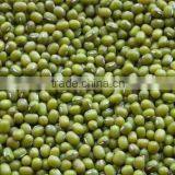 GREEN MUNG BEAN(+84948425455 VIBER, WHATSAPP/SKYPE: VISIMEX05)