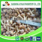 2015 High Quality IQF Nameko thumbnail-1