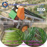 Celery Harvester Fresh Celery Harvester thumbnail-2