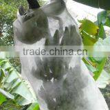 PP Spunbond Non-woven Fabric for Banana Cover 60gsm
