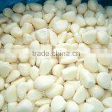 Mashed Garlic Machine/Garlic Grinding Machine thumbnail-2