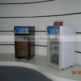 Little Vertical Display-seriesEngineering Freezer /Freezer of Beer Chinese Seafood Restaurant Freezer/Import and Export o thumbnail-6