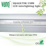 VANQLED Distributor Grow Light for Greenhouse 75w for Interlighting Cucumber/Tomatoes thumbnail-5