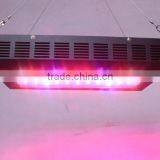 Shenzhen Factory Best Price 150W(55x3W) EPISTAR UFO LED Grow Light For Lettuce Plant Good Quality thumbnail-4