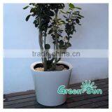 Garden Flower Pot Cheap Plastic Flower Pots Cheap Plastic Flower Pots thumbnail-1