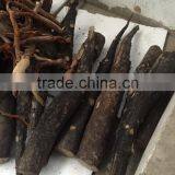 Tongkat Ali thumbnail-4