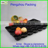 Pengzhou Plastic Cavity Tray thumbnail-6