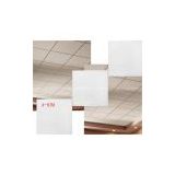 Acoustic Mineral Fiber ceilingA-006a
