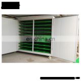 automatic bean sprout machine/machine price for mung bean sprout