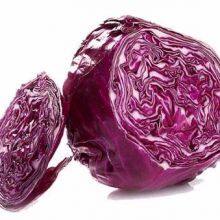 Heat Resistant f1 Hybrid Cabbage Seeds thumbnail-1