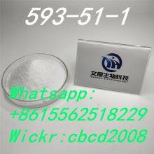 Factory 99% Pure Methylamine hydrochloride593-51-1