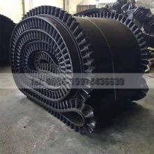 Conveyor Inclination 0°-90° Angled Conveyor Belt Easy To Interface With Other Equipment thumbnail-4