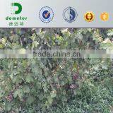 China Made Factory Price Kraft Fruit Growing Paper Bag thumbnail-3