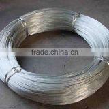 BWG14 Electric Galvanized Iron Wire Galvanized Wire