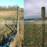 Arame Arame b 800 Flat Wire Oval