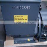STF Brushless Alternator Generator Sale thumbnail-3