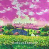 Soft Touching Pure Silk Fabric,Flower Pattern Silk Chiffon Fabric